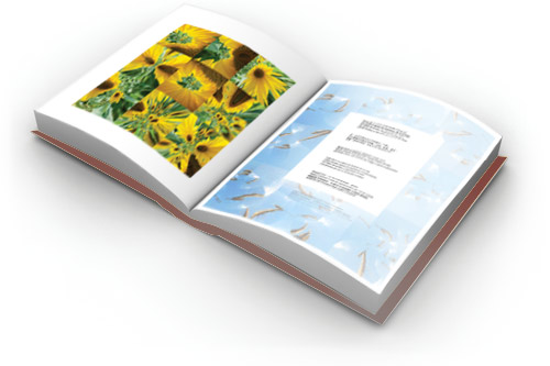 hm-book